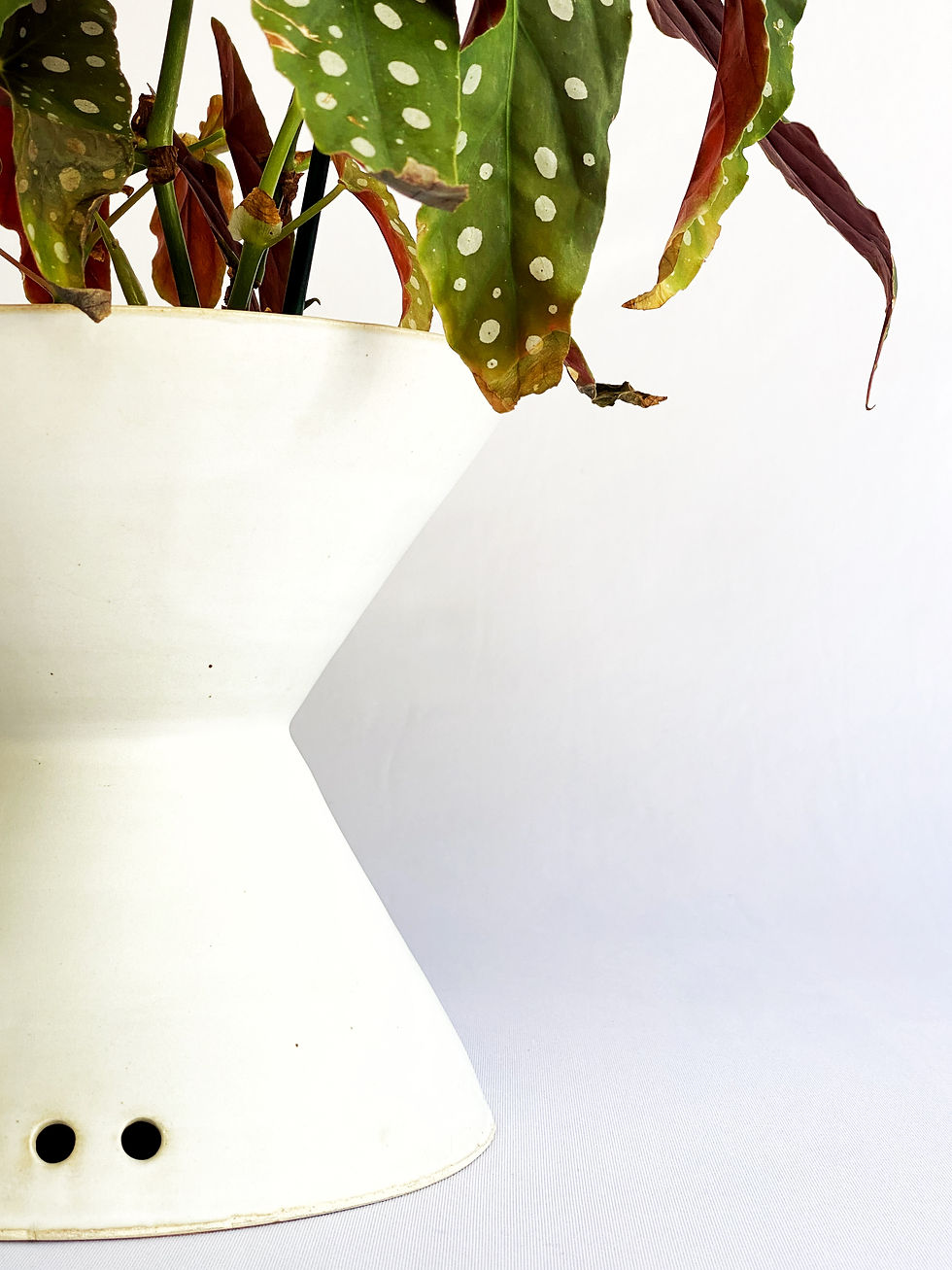 Thumbnail: root four