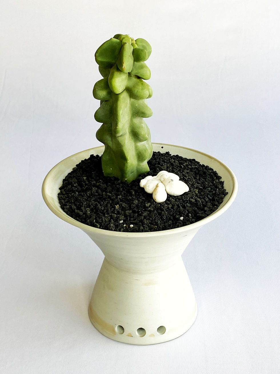 Thumbnail: root eight