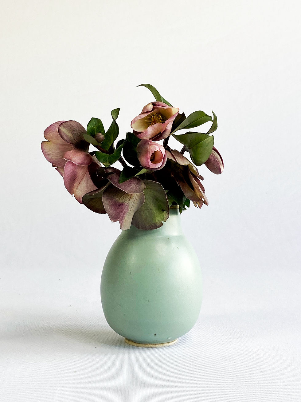 Thumbnail: stem two (the three sisters)