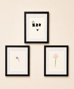 Installation View — Botanical and Hebrew-Letter Works