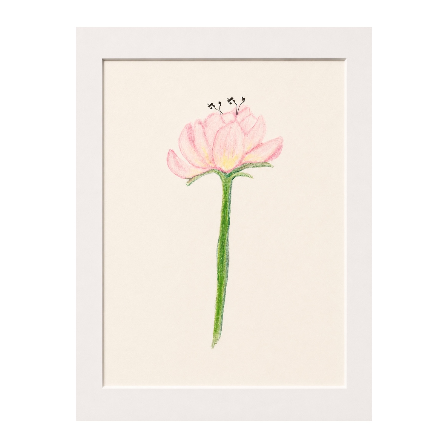 A pink peony drawing whose reproductive center is formed from the four Hebrew letters of the Divine Name.