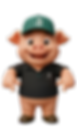 Porco sorridente usando boné verde 'B' e camisa polo preta.