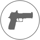 icone_gun.png