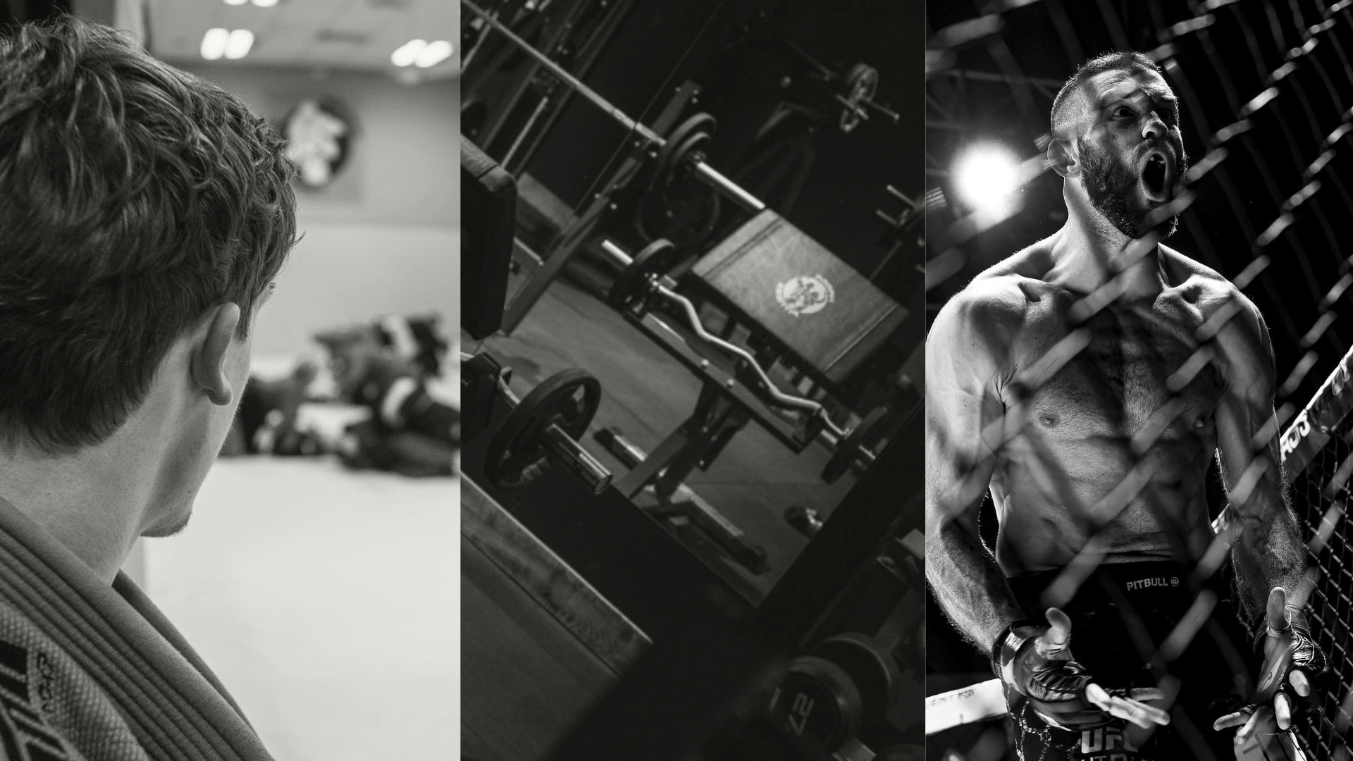 HAMMA Academy of Sports & Martial Arts CIC