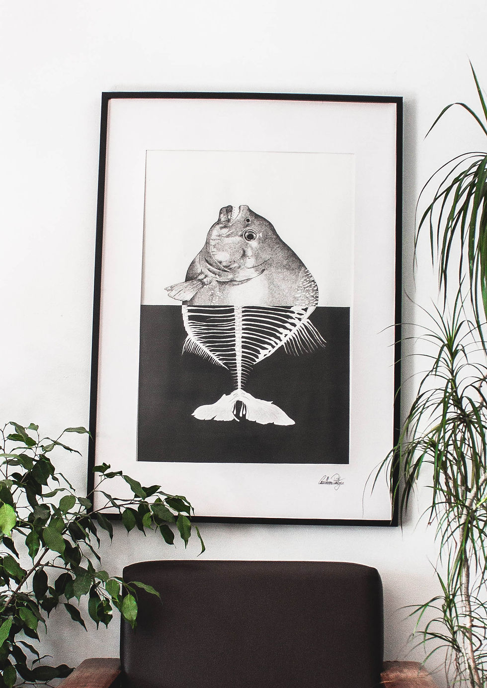 Thumbnail: Piraña, Premium Art Print