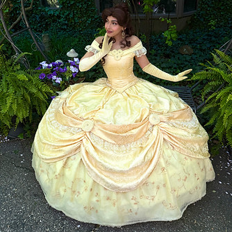 Belle PDB Dress.jpg