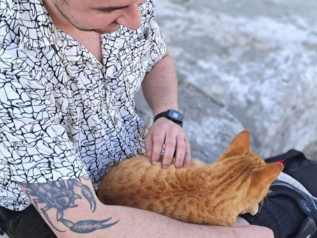 Cat Loving Adventures in Antalya