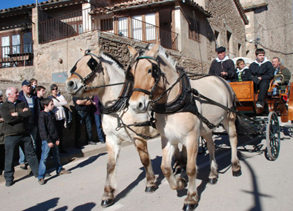candelera-va-rebre-visitants-comarca-for