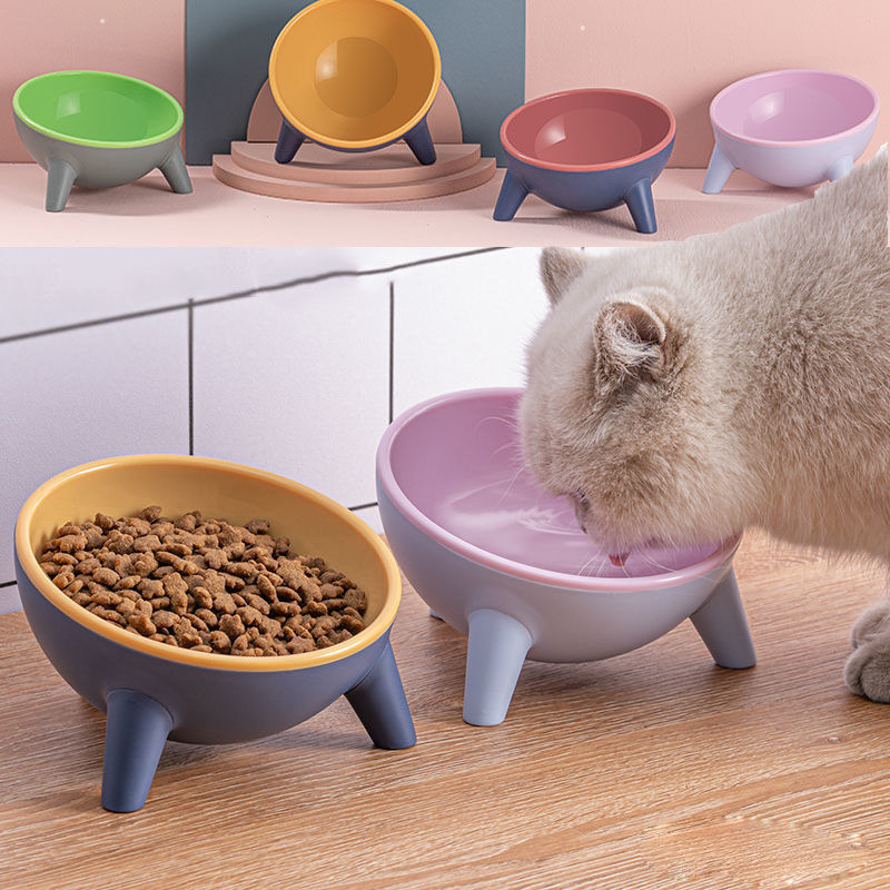 Thumbnail: Cat Dog Bowl With Stand Pet Feeding Food Bowls