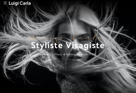 Exclusivité - Découvrez notre nouveau site luigicarla.fr