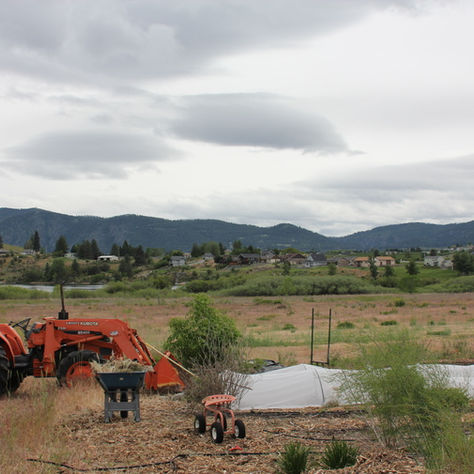 Day 2: Prepping and planting squash 