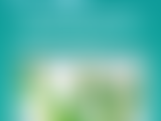 Full Time Craft and Fine Artist in America