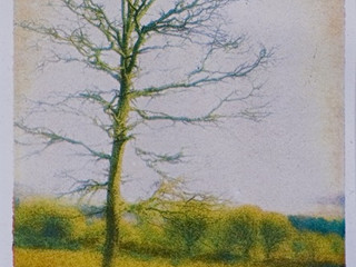 Alan Glover Alchemy of Light 3.jpeg