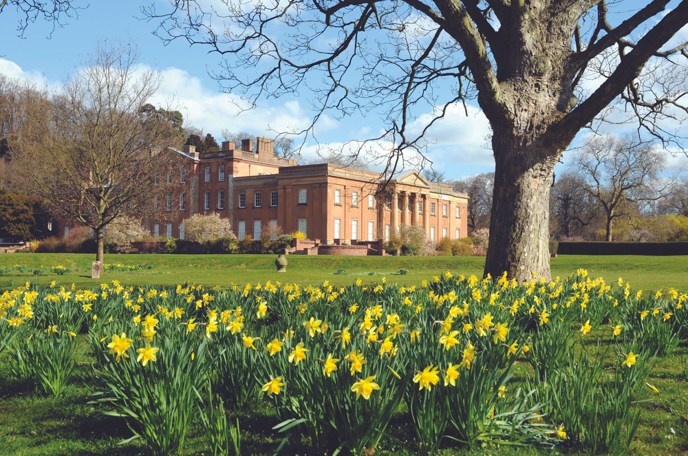 Spring time fun at Himley Hall
