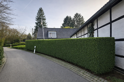 file_00000000050c720a8ae3c77c534e6173