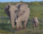 Mother Elephant and Baby