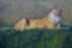 Lioness