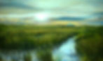 Kenya Marsh