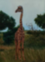 Hi There