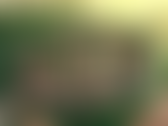 The Sorcerer Knight Update: One