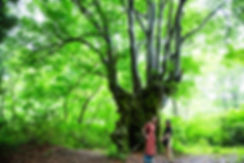 2020.06.26_繝ュ繧、繝、繝ォ閭主・繝上z繝シ繧ッ繝帙ユ繝ォ讒・RTPH