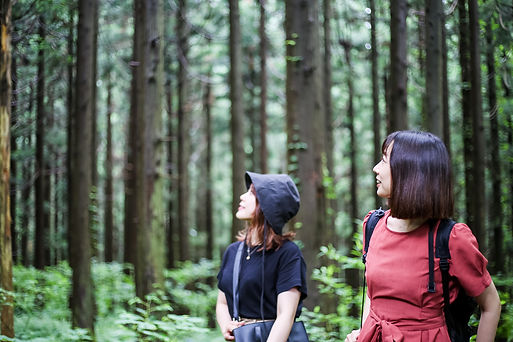 2020.06.26_繝ュ繧、繝、繝ォ閭主・繝上z繝シ繧ッ繝帙ユ繝ォ讒・RTPH