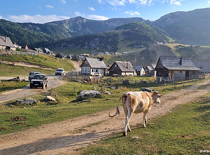 Bośnia Amator4x4.jpg