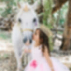 The Magical Unicorn Brunch