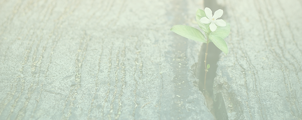AdobeStock_107906621_edited_edited_edited.png