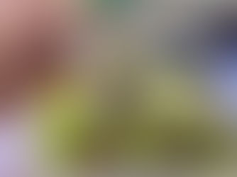 小さな一歩を踏み出そう