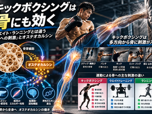キックボクシングは骨にも効く?ウエイト・ランニングとは違う「骨への刺激」とオステオカルシン