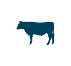 Animal Icons-01.png