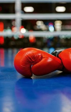Boxa