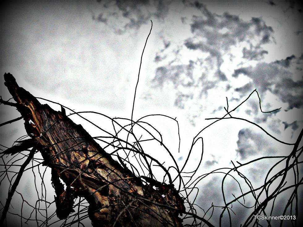 Monsoon