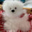 Thumbnail: Inspired Peru - Soft Cute Stuffed Alpaca White Bear