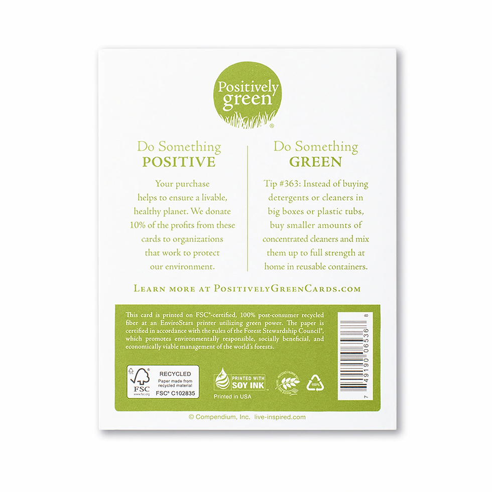 Thumbnail: Positively Green - Zelda Fitzgerald "She Quietly Expected Great Things..."