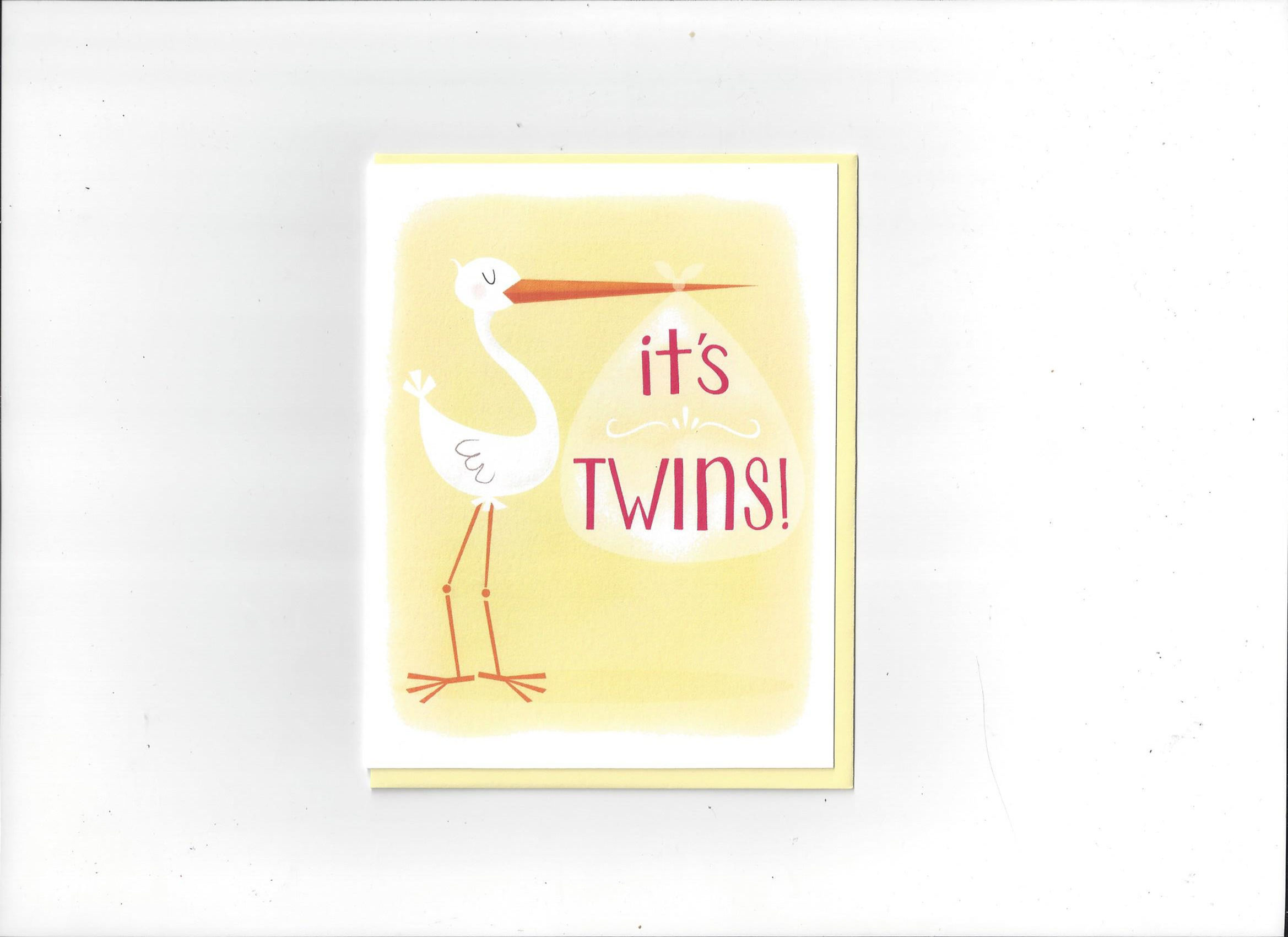 Nicole Marie Paperie- "it's Twins!"