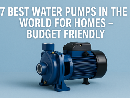 7 Best Water Pumps For Homes - Budget Friendly