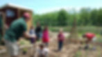 Children helping 3