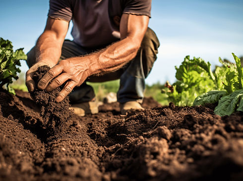 soil-restoration-techniques.jpg