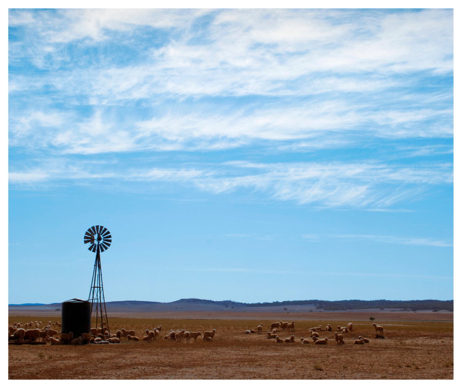 Open Skies Across The Romantic Australian Landscape