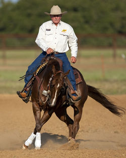 Ian Francis Horsemanship 2