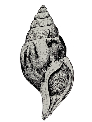 IMG_6189.PNG