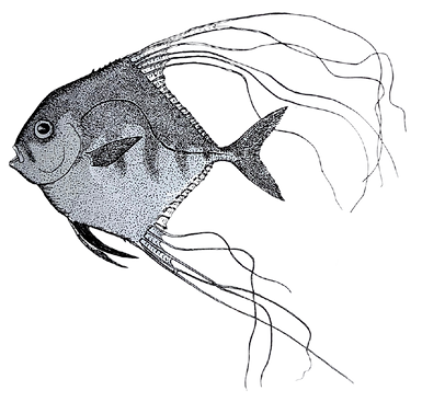 Untitled design (17).png