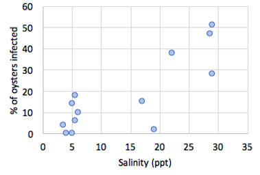 Oyster Growers Dilemma_Salinity_Image 2.
