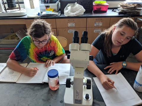 MVIMG_20190814_132403.jpg