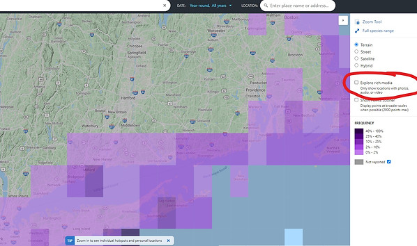 ebird screenshot8.jpg