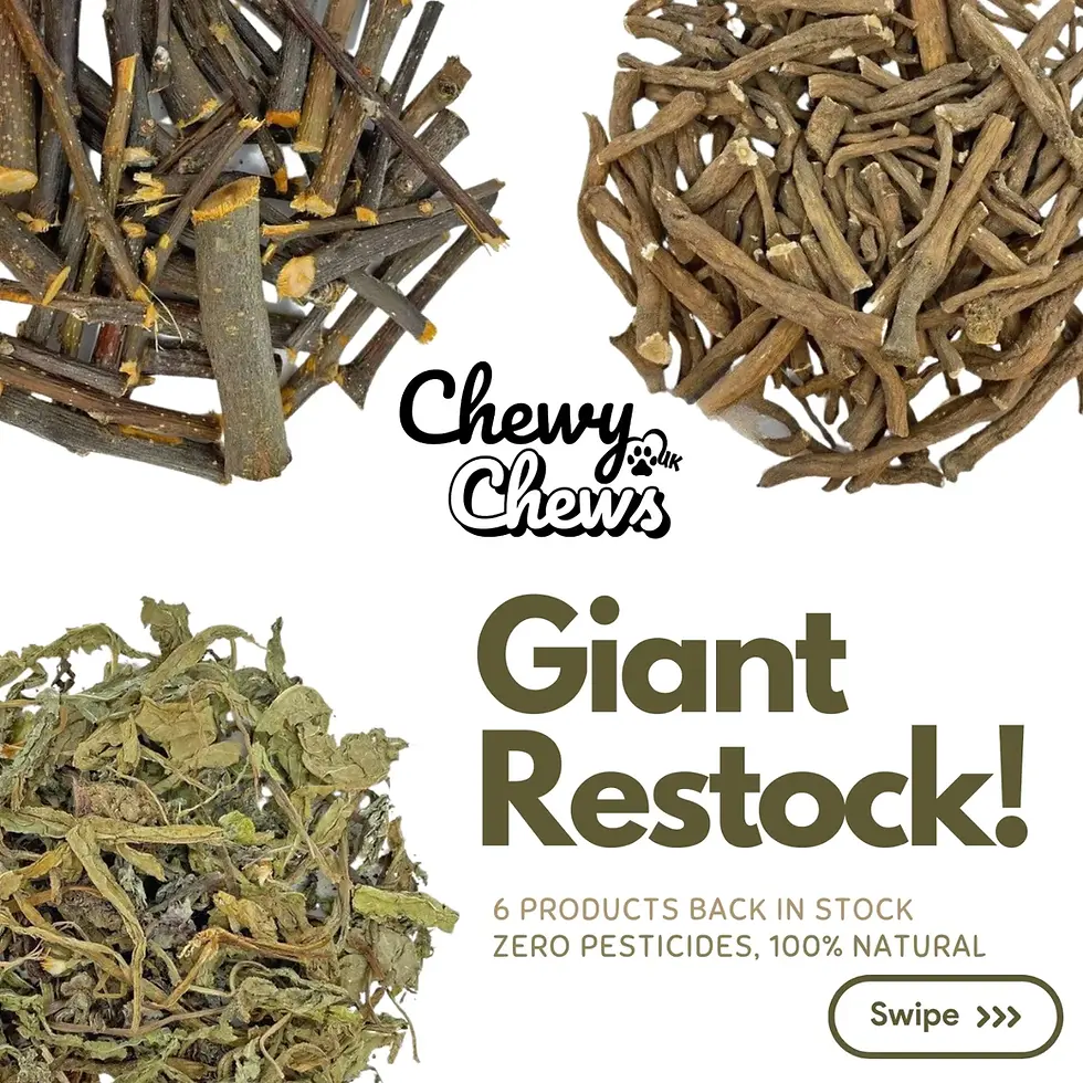 Giant Restock!