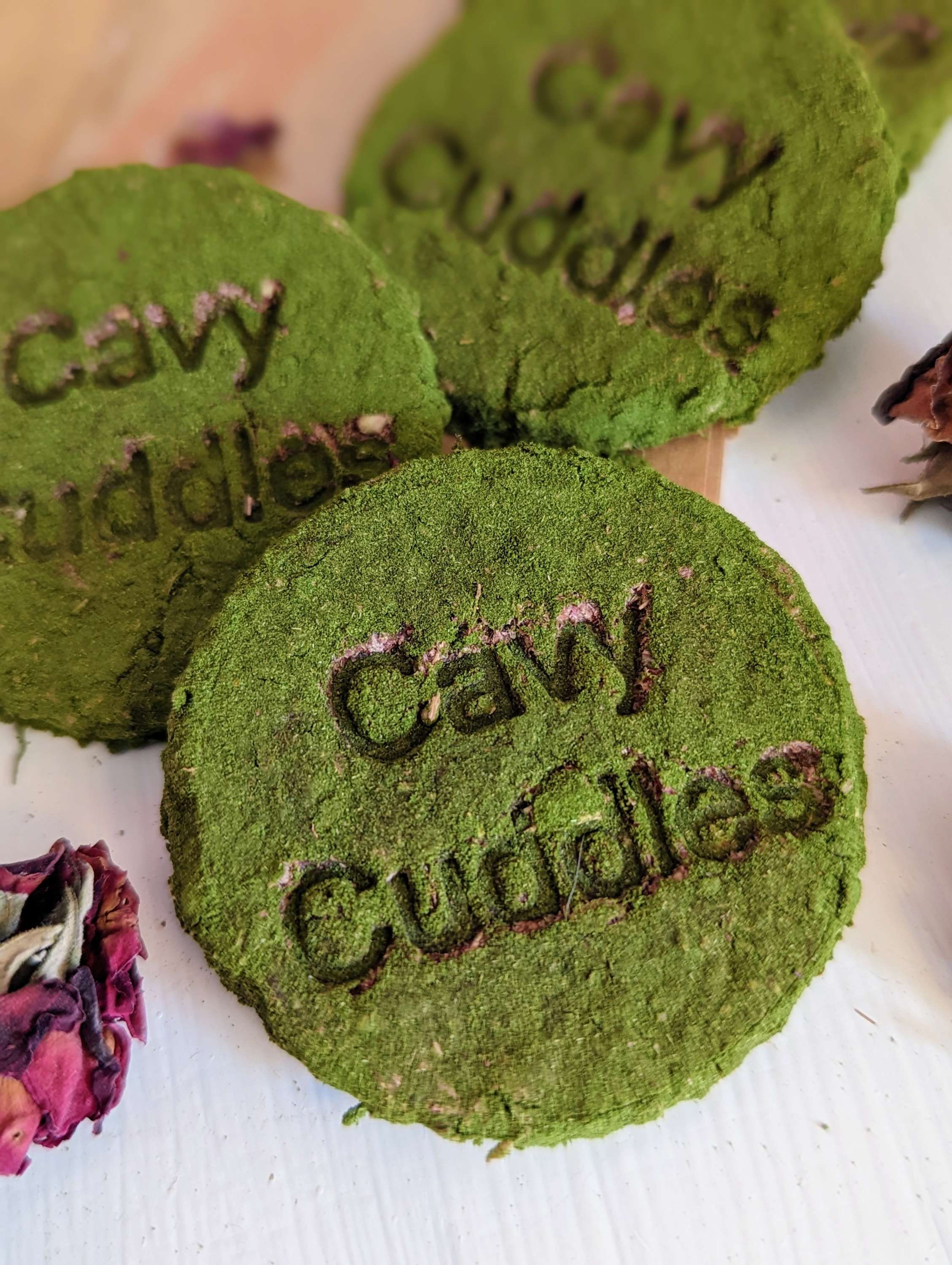 Cavy Cuddles Cookie Set