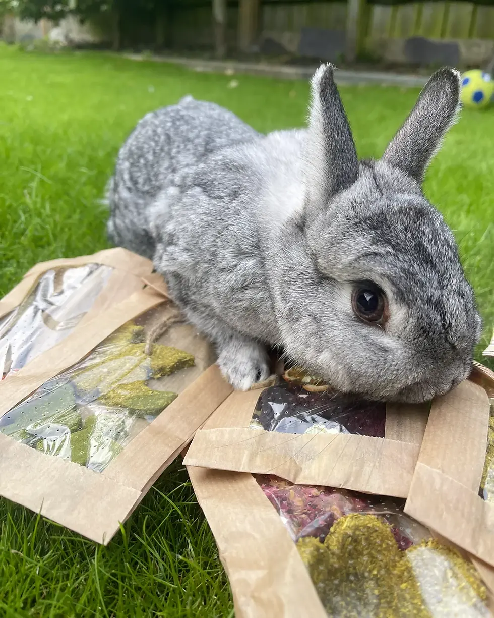 Miniatura: Rabbit Monthly Treat & Forage Box